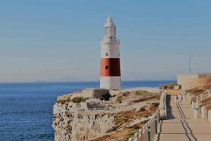 Fra Sevilla: Heldagstur til Gibraltar med lokal guide
