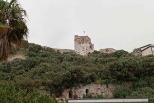 De Sevilha: Viagem de 1 dia a Gibraltar