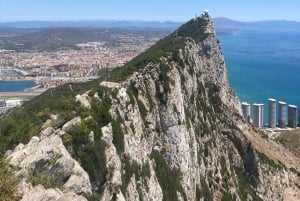 De Sevilha: Viagem de 1 dia a Gibraltar