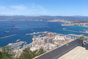 De Sevilha: Viagem de 1 dia a Gibraltar