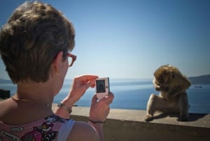 Fra Sevilla: Sightseeingtur til Gibraltar