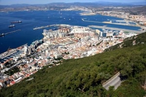 Von Sevilla aus: Gibraltar Sightseeing Tour