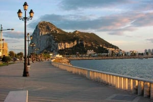 From Seville: Gibraltar Sightseeing Tour