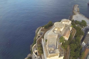 From Seville: Gibraltar Sightseeing Tour
