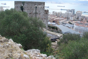 From Tarifa Area: Gibraltar Sightseeing Tour