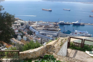 From Tarifa Area: Gibraltar Sightseeing Tour