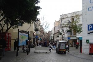 From Tarifa Area: Gibraltar Sightseeing Tour