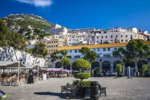 Vanuit Malaga en Costa del Sol: Gibraltar Shopping Tour