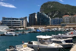 Gibraltar: 1-dagers Gibraltar-pass med offentlig transport