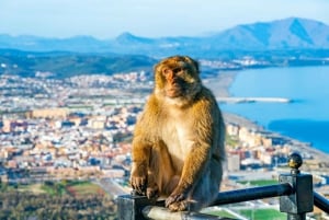 Gibraltar ja Mijas – päiväkierros vapaa-ajalla Málagasta