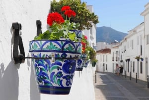 Gibraltar ja Mijas – päiväkierros vapaa-ajalla Málagasta