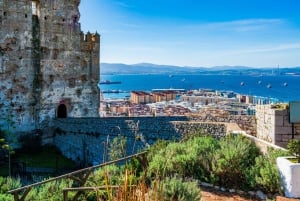 Gibraltar i Puerto Banús – wycieczka 1-dniowa z Malagi