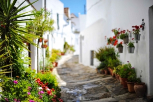 Gibraltar and Vejer: Private Day Trip from Seville