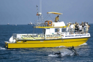 Gibraltar Cable Car & Dolphin Watch