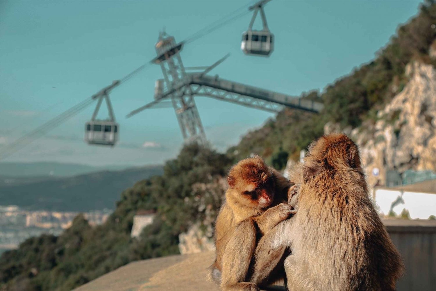 Gibraltar: Ingresso para o teleférico e para a reserva natural