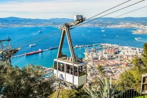 Gibraltar: Dolphin Watch Cruise & Cable Car Fast Track Combo