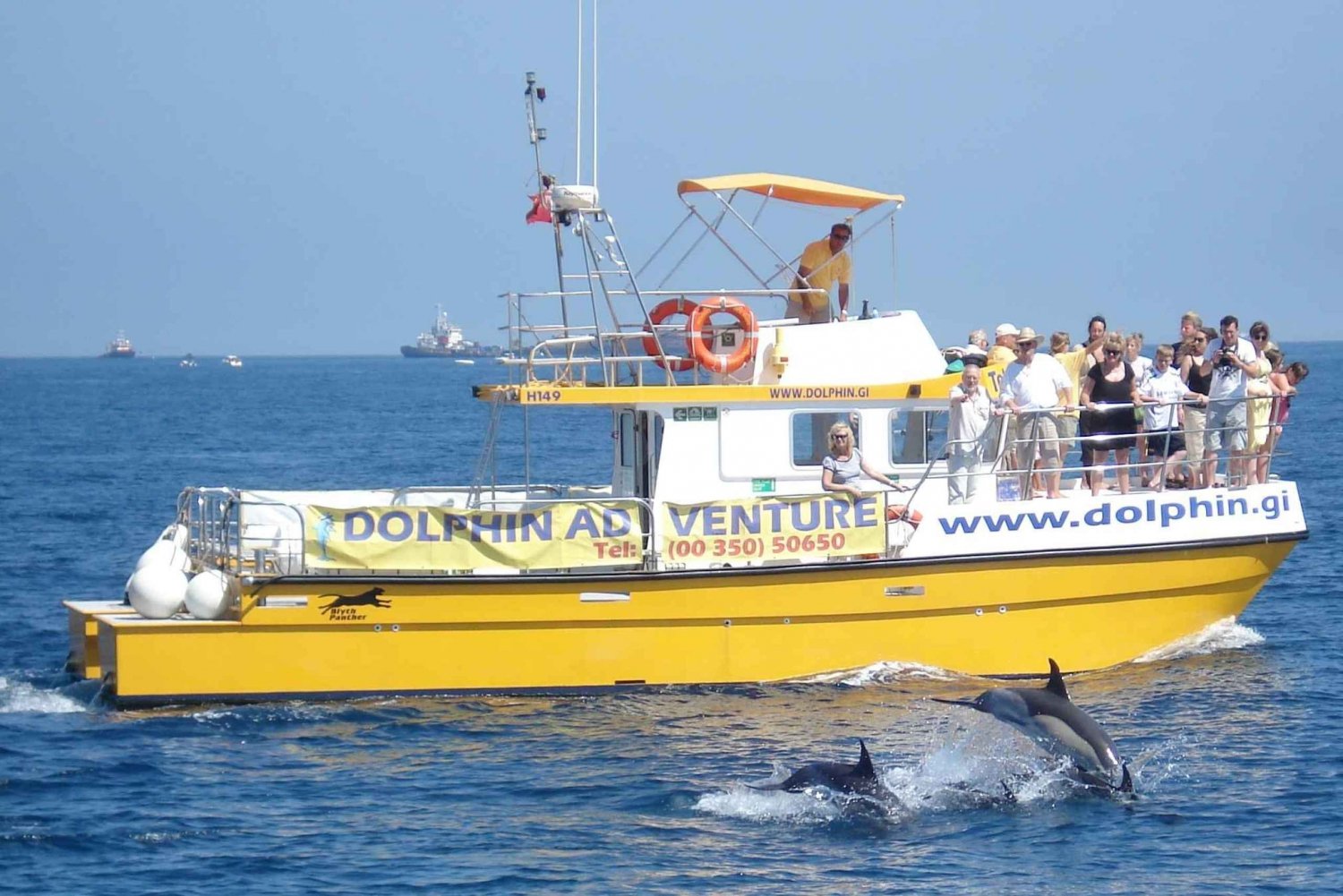 Fra Marina Bay: Se delfiner på bådtur ved Gibraltar