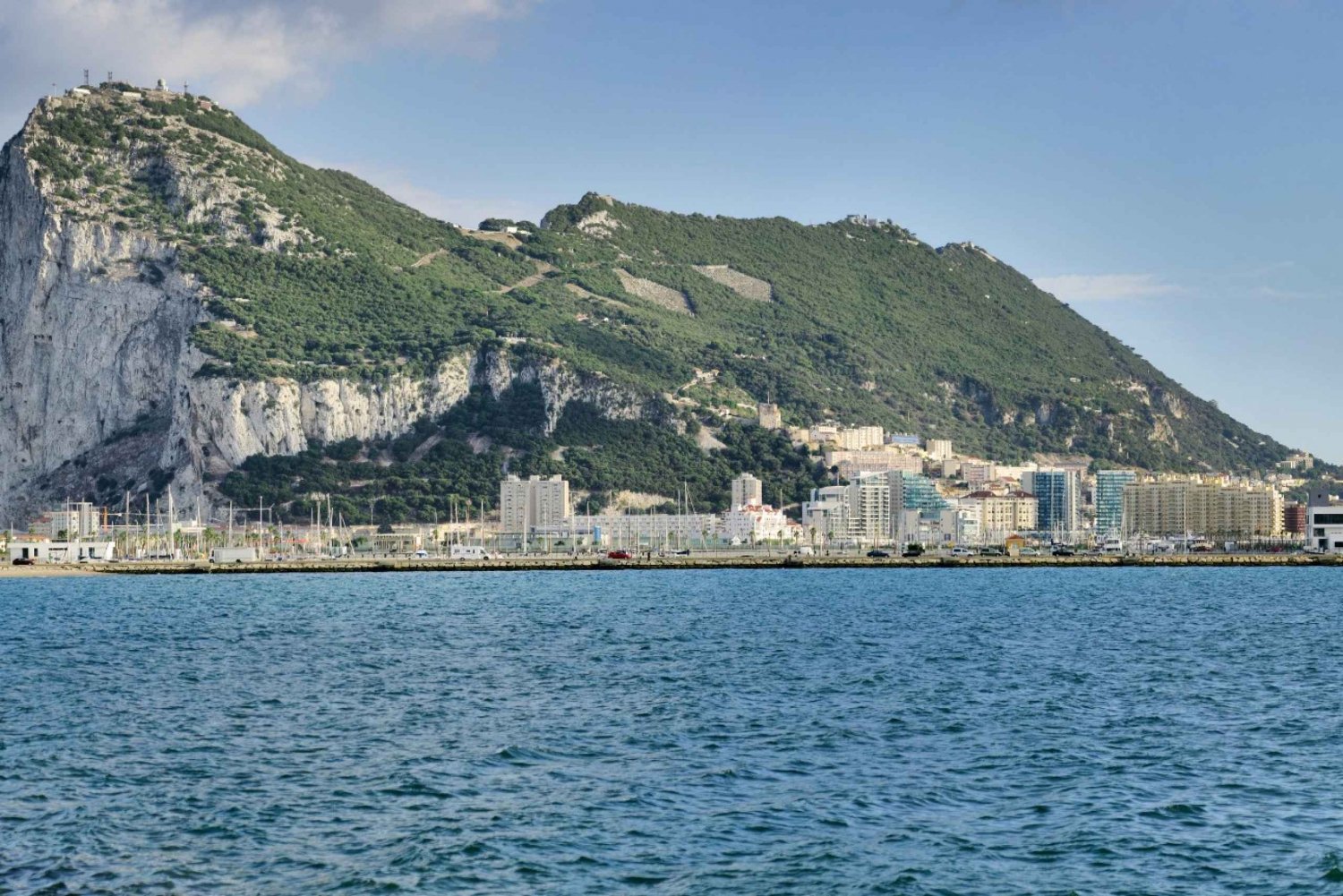 Gibraltar dolphin watching tour