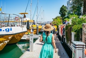 Gibraltar: Delfin Watching-Tour