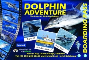 Gibraltar: Delfin Watching-Tour