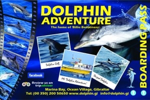 Gibraltar: Dolphin Watching Tour