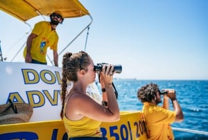 Gibraltar: Delfin Watching-Tour
