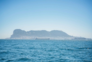 Gibraltar: dolfijnen spotten in de baai