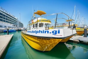 Fra Marina Bay: Se delfiner på bådtur ved Gibraltar