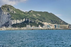 Gibraltarin delfiinien katselukierros