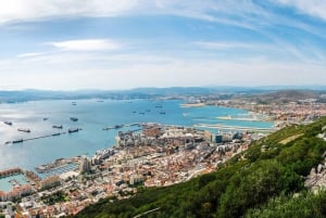 Gibraltarin delfiinien katselukierros
