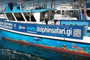Gibraltar: Bådtur med delfinobservation