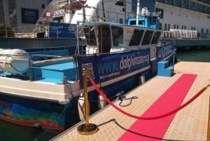 Gibraltar: Tour en barco para avistar delfines
