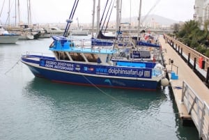 Gibraltar: Rondvaart dolfijnen kijken
