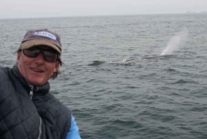 Gibraltar: Båttur med delfinskådning