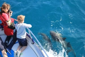 Gibraltar: Bådtur med delfinobservation