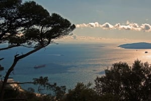 Gibraltar: Rondleiding per bus inclusief tickets