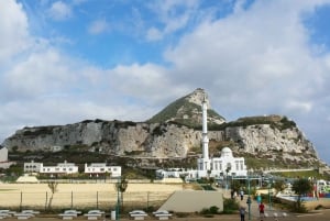 Gibraltar : Visite guidée en bus, billets inclus