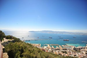 Gibraltar: Guidet tur, Skywalk, maurisk slott og mye mer