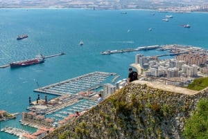 Gibraltar: Puolipäiväinen yksityinen kiertoajelu pääsylippuineen