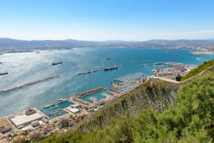 Gibraltar: Puolipäiväinen yksityinen kiertoajelu pääsylippuineen