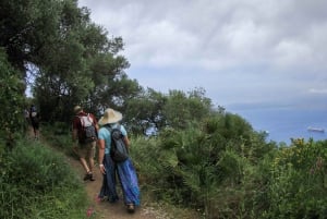 Gibraltar: Toegangsbewijs Upper Rock Nature Reserve