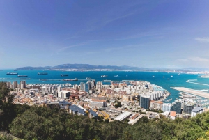 Gibraltar: Toegangsbewijs Upper Rock Nature Reserve