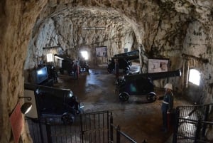 Gibraltar: Oficjalny karnet miejski z wycieczką po mieście, kolejką linową i nie tylko