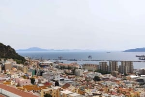 Gibraltar : excursion privée haut de gamme d'une journée et visite du rocher