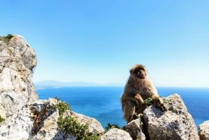 Gibraltar: premium private day trip & Rock tour