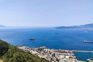 Gibraltar : excursion privée haut de gamme d'une journée et visite du rocher