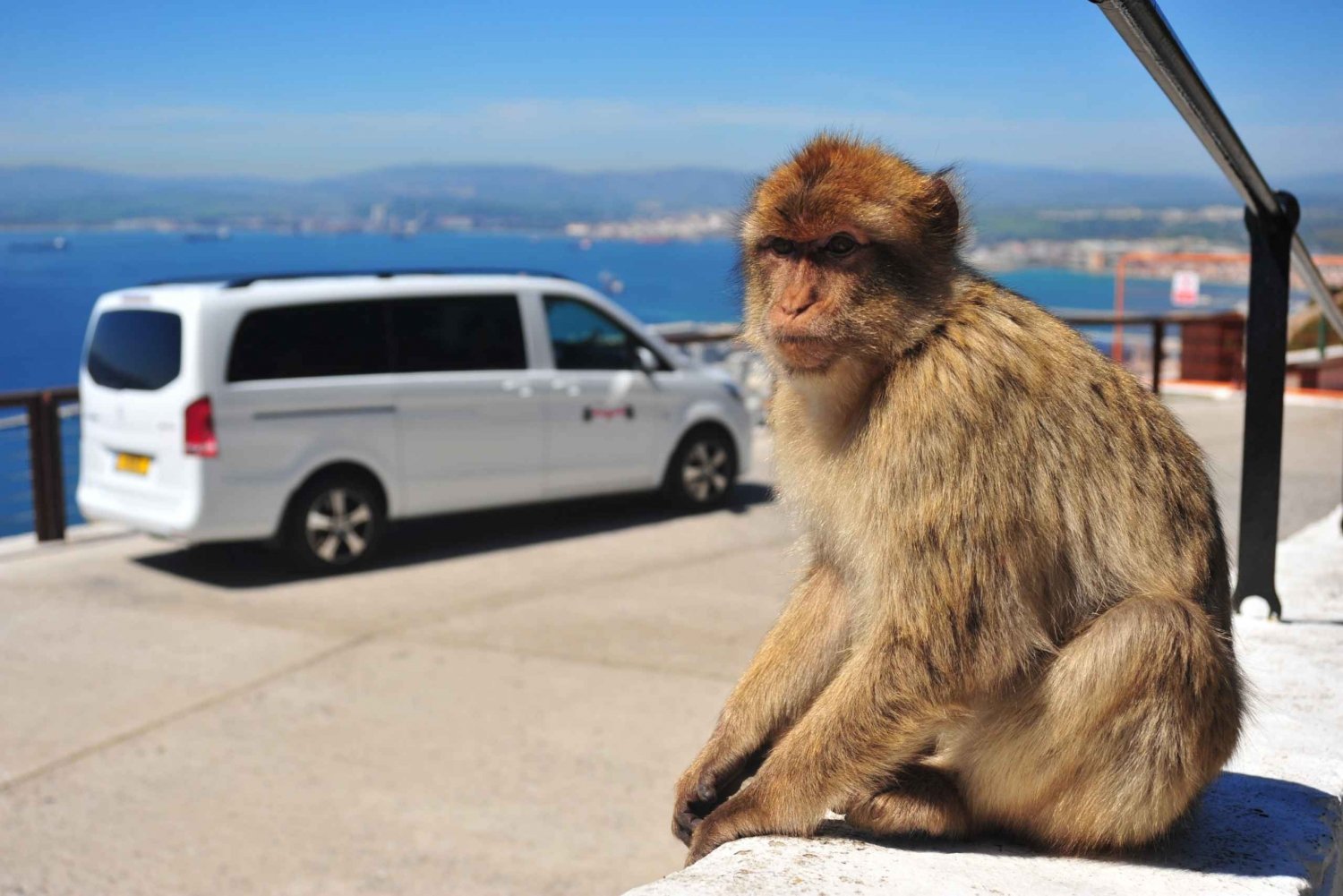 Gibraltar: Tour privado de lo más destacado con tickets de entrada