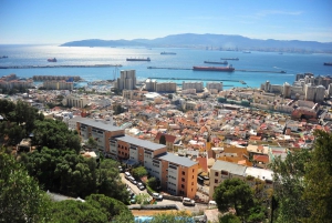 Gibraltar: Private Highlights Tour mit Eintritts-Tickets