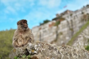 Excursão rochosa em Gibraltar