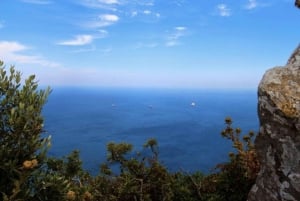 Gibraltarin rannikkoretki: Alkuperäinen Rock & Caves -kierros